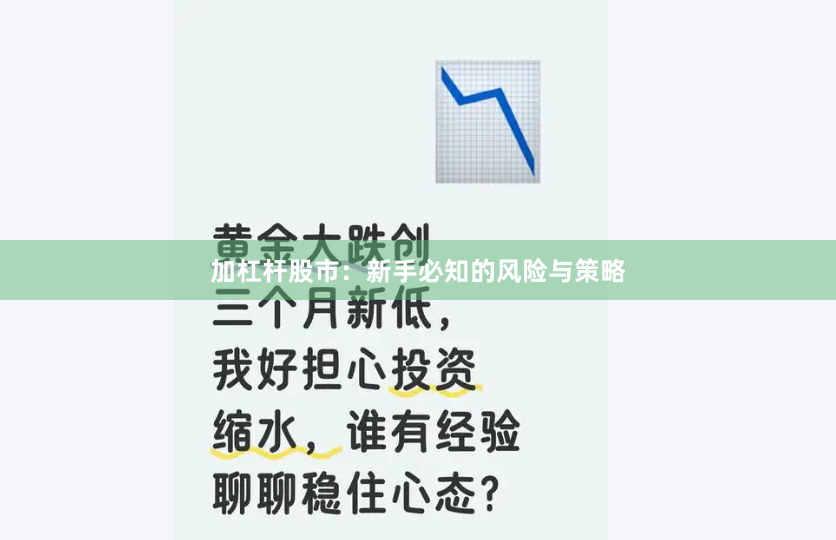 加杠杆股市：新手必知的风险与策略